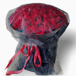 Hoa hồng valentine