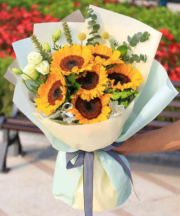 bó hoa hướng dương 6 bông