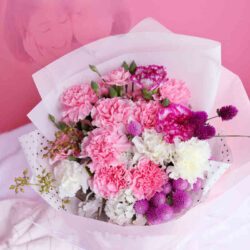 Bó hoa Cẩm Chướng hồng