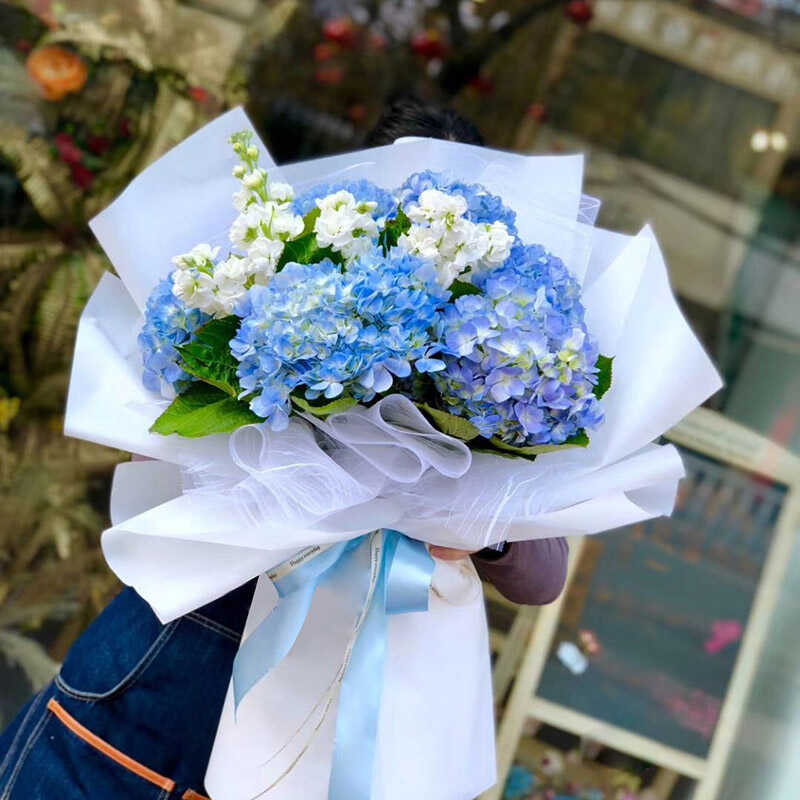 Bó hoa Cẩm Chướng