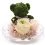 gấu bông cute nhỏ