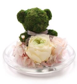gấu bông cute nhỏ