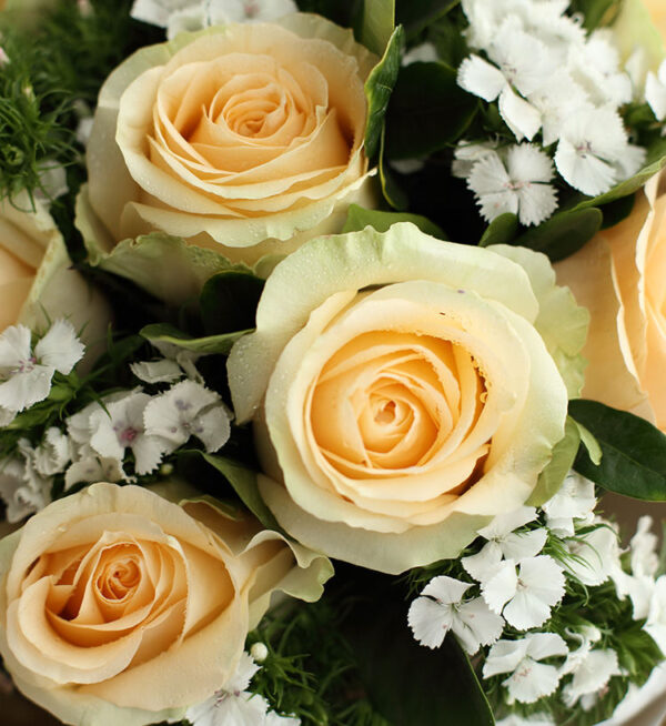 bó hoa hồng nhỏ xinh