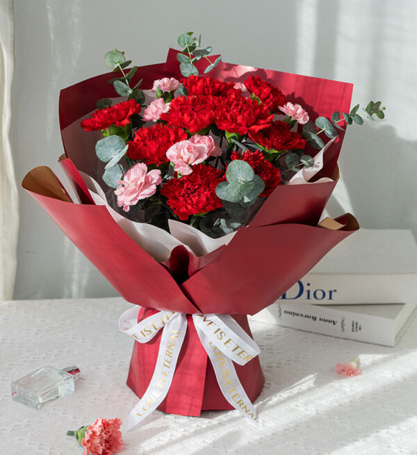 bó hoa cẩm chướng đỏ bó hoa cẩm chướng đỏ