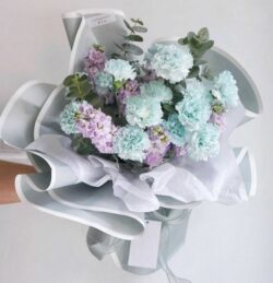 bó hoa cẩm chướng xanh