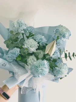 bó hoa cẩm chướng xanh đẹp