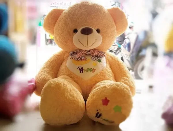 gấu bông tặng ny