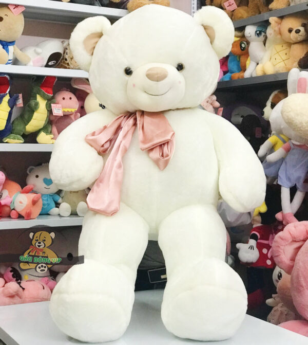 gấu bông tặng sinh nhật