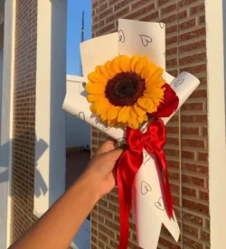 bó hướng dương 1 bông