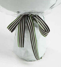 Bó hoa hồng Diana tặng