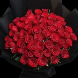 hoa hồng ohara màu đỏ