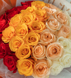 hoa hồng sinh nhật