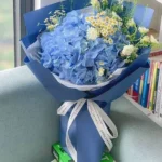 cẩm tú cầu xanh dương