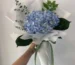 hoa cẩm tú cầu thường tượng trưng cho lời xin lỗi chân thành