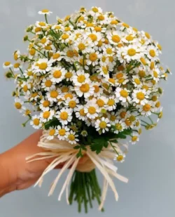 hoa cưới cầm tay hiện đại