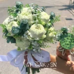 hoa cưới sen trắng