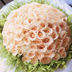 hoa hồng cho lễ tình nhân