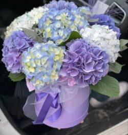 hoa khai trương cẩm tú càu