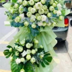 Mẫu hoa khai trương hoa sen