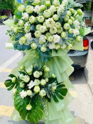 hoa khai truong tphcm 2