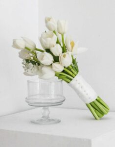 hoa cưới tulip trắng