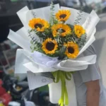 Mua hoa hướng dương ở tphcm