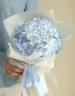 bó hoa cẩm tú cầu 1 bông