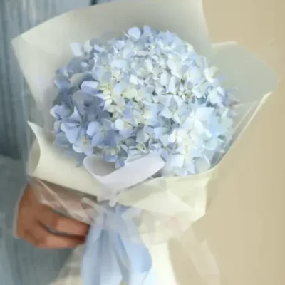 bó hoa cẩm tú cầu 1 bông