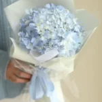 bó hoa cẩm tú cầu 1 bông
