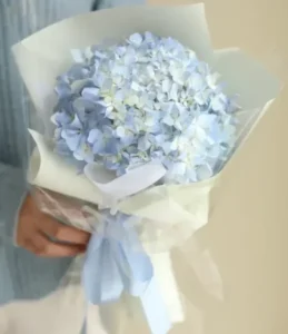 bó hoa cẩm tú cầu 1 bông