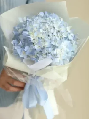 bó hoa cẩm tú cầu 1 bông