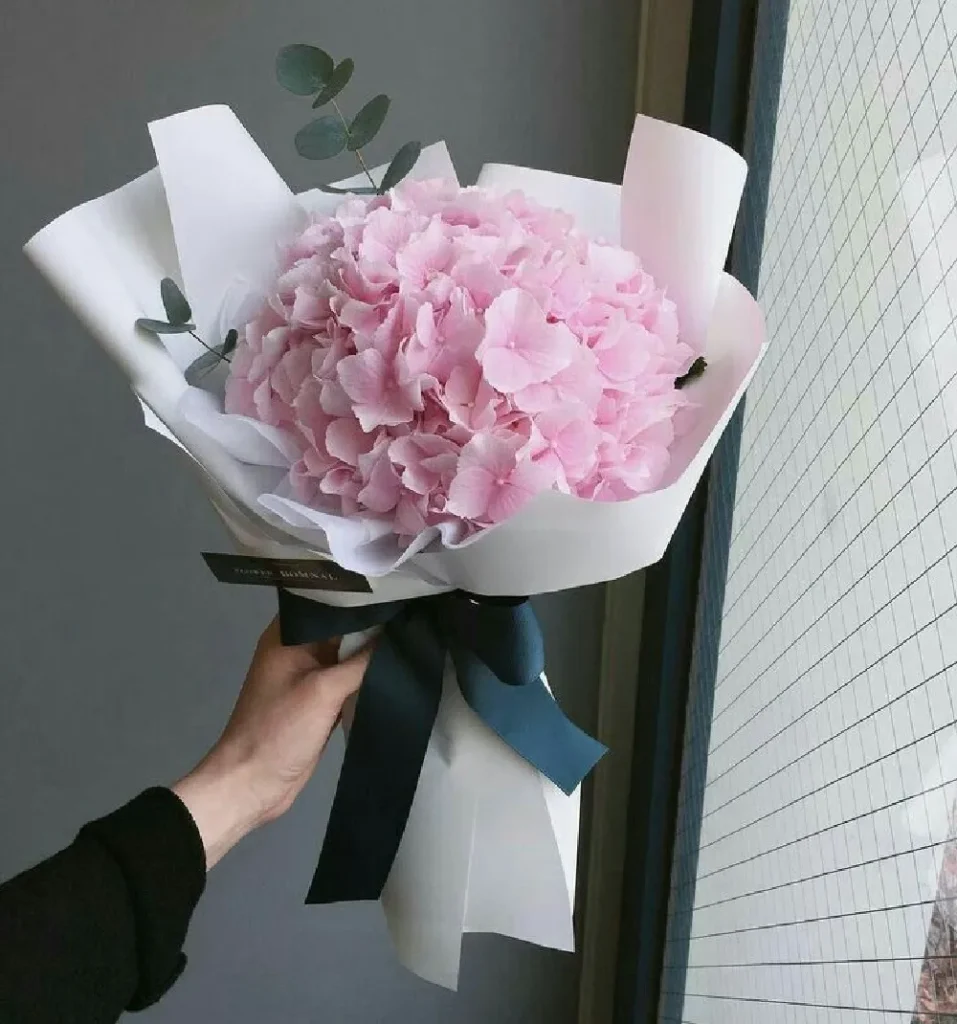 bó hoa cẩm tú cầu hồng ý nghĩa
