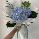 bó hoa cẩm tú cầu xanh dương