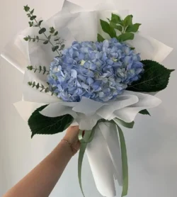 bó hoa cẩm tú cầu xanh dương