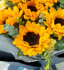 hoa hướng dương