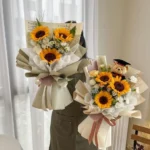Mẫu hoa hướng dương chụp kỷ yếu
