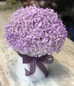 giỏ hoa baby tím 500k