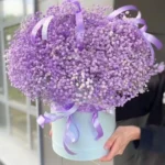 hoa baby tặng vợ