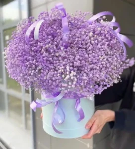 hoa baby tặng vợ