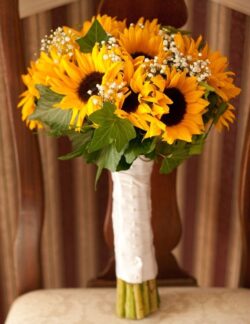 hoa cưới hướng dương