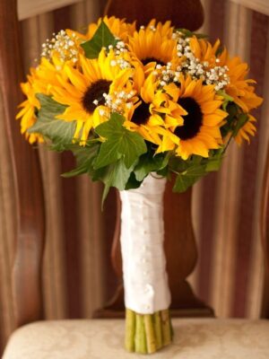 hoa cưới hướng dương