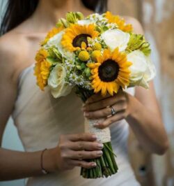 mua hoa cưới hướng dương