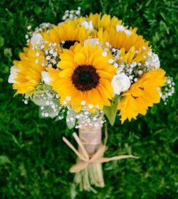 hoa cưới hướng dương và hoa baby