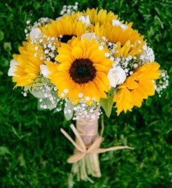 hoa hướng dương cưới