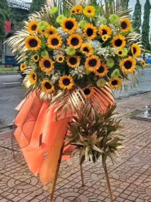 hoa huong duong khai truong hoa hướng dương khai trương