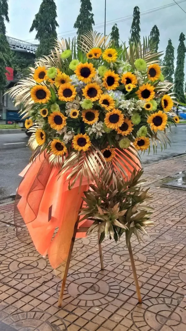 hoa hướng dương khai trương