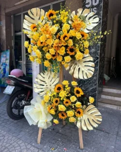 hoa khai trương hướng dương