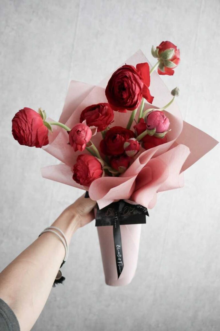 hoa mẫu đơn đỏ