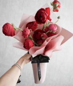 hoa mẫu đơn đỏ