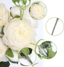 hoa mẫu đơn trắng